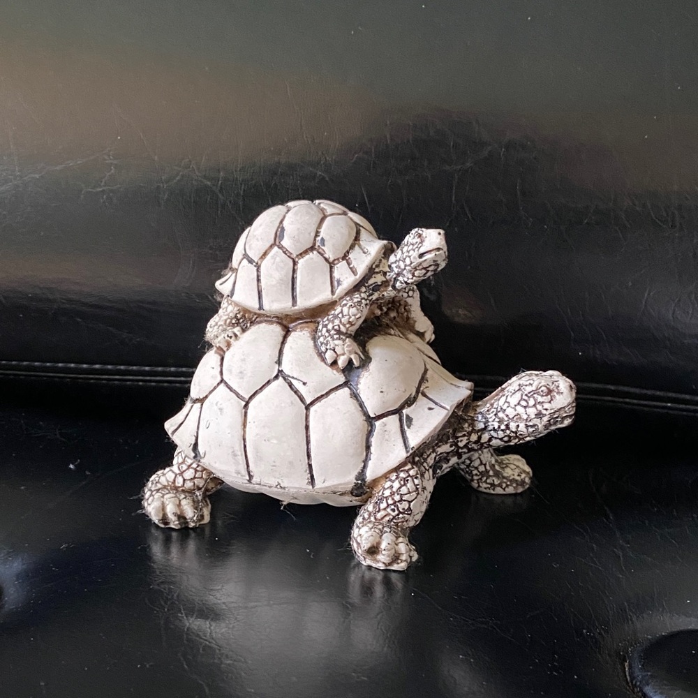 White Tortoise on Tortoise Figurine for Reptile Lovers